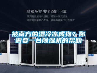常見問題被南方的濕冷凍成狗？你需要一臺除濕機的幫助