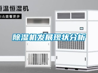 行業(yè)新聞除濕機(jī)發(fā)展現(xiàn)狀分析