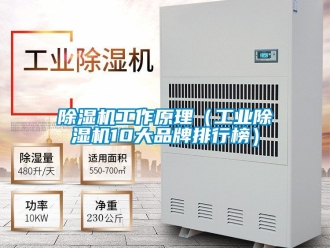 常見問題除濕機工作原理（工業除濕機10大品牌排行榜）
