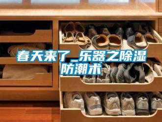 企業(yè)新聞春天來了_樂器之除濕防潮術