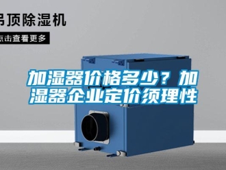 行業(yè)新聞加濕器價格多少？加濕器企業(yè)定價須理性