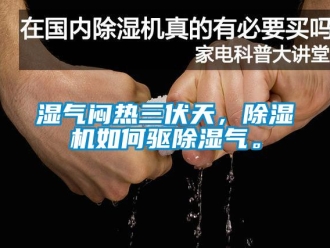 常見問題濕氣悶熱三伏天，除濕機如何驅除濕氣。