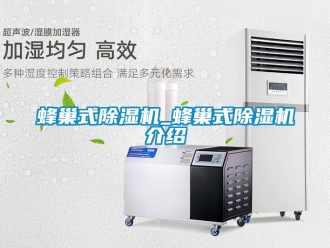 行業(yè)新聞蜂巢式除濕機_蜂巢式除濕機介紹