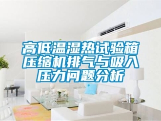 常見問題高低溫濕熱試驗箱壓縮機(jī)排氣與吸入壓力問題分析