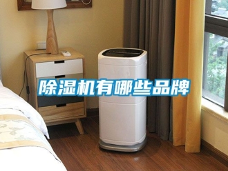 企業新聞除濕機有哪些品牌