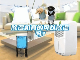 行業新聞除濕機真的可以除濕嗎？