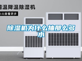 行業(yè)新聞除濕機為什么抽那么多水