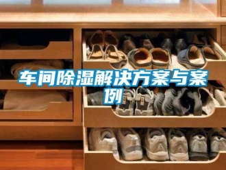 企業新聞車間除濕解決方案與案例