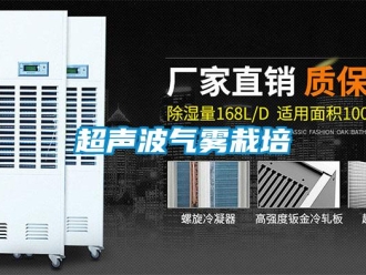 企業新聞超聲波氣霧栽培