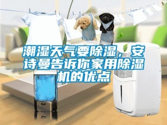 企業(yè)新聞潮濕天氣要除濕，安詩曼告訴你家用除濕機的優(yōu)點