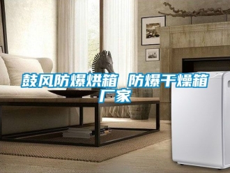 企業(yè)新聞鼓風防爆烘箱 防爆干燥箱廠家