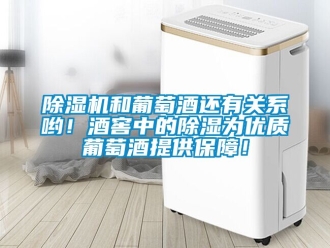 行業新聞除濕機和葡萄酒還有關系喲！酒窖中的除濕為優質葡萄酒提供保障！