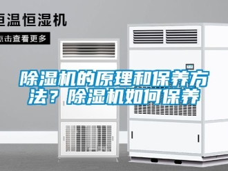 企業新聞除濕機的原理和保養方法？除濕機如何保養