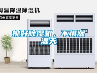 知識百科挑好除濕機，不懼潮濕天