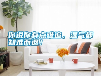 行業新聞你說你有點難追，濕氣都知難而退！