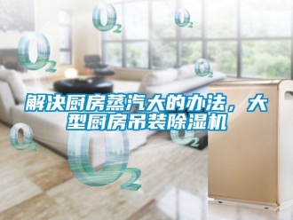 行業(yè)新聞解決廚房蒸汽大的辦法，大型廚房吊裝除濕機(jī)