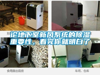 行業新聞論地下室新風系統的除濕重要性，看完你就明白了