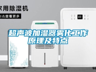企業(yè)新聞超聲波加濕器霧化工作原理及特點