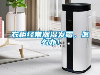 常見問題衣柜經常潮濕發霉，怎么辦！