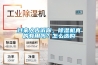 過來人告訴你，除濕機真的有用嗎？怎么選購