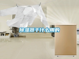 行業新聞除濕器干什么用的