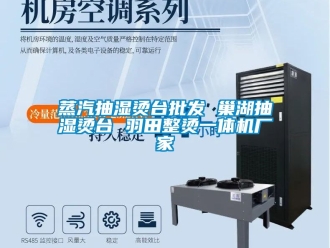 企業(yè)新聞?wù)羝闈駹C臺(tái)批發(fā) 巢湖抽濕燙臺(tái) 羽田整燙一體機(jī)廠家