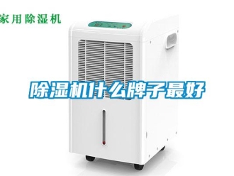 企業新聞除濕機什么牌子最好