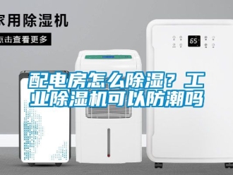 常見問題配電房怎么除濕？工業除濕機可以防潮嗎