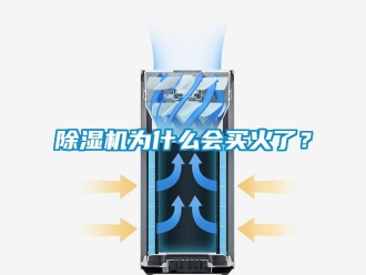 企業(yè)新聞除濕機(jī)為什么會買火了？
