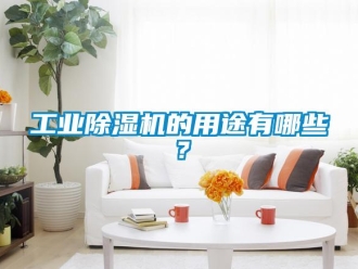 企業新聞工業除濕機的用途有哪些？