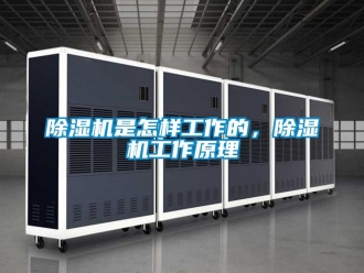 行業新聞除濕機是怎樣工作的，除濕機工作原理