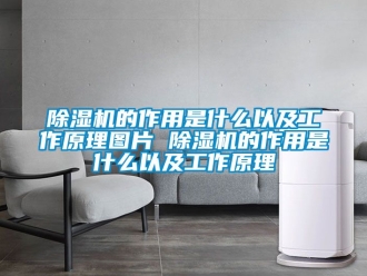 企業新聞除濕機的作用是什么以及工作原理圖片 除濕機的作用是什么以及工作原理