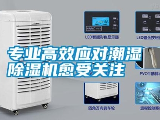 知識百科專業(yè)高效應對潮濕 除濕機愈受關注