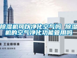 行業(yè)新聞除濕機(jī)可以凈化空氣嗎 除濕機(jī)的空氣凈化功能管用嗎