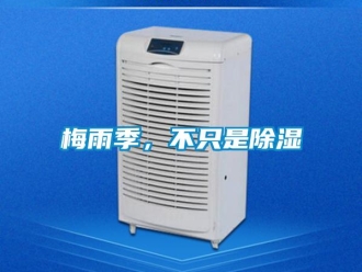 行業新聞梅雨季，不只是除濕