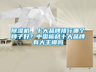企業新聞除濕機，十大品牌排行哪個牌子好？中國板材十大品牌有大王椰嗎