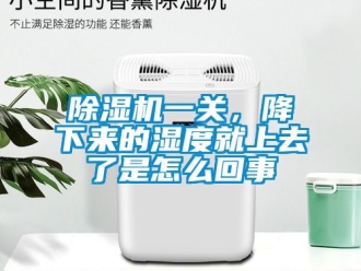行業(yè)新聞除濕機(jī)一關(guān)，降下來(lái)的濕度就上去了是怎么回事