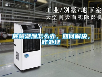 常見(jiàn)問(wèn)題底樓潮濕怎么辦，如何解決，咋處理