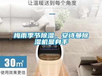 企業(yè)新聞梅雨季節(jié)除濕，安詩(shī)曼除濕機(jī)顯身手