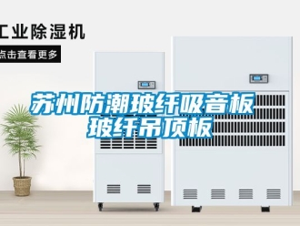 企業新聞蘇州防潮玻纖吸音板 玻纖吊頂板