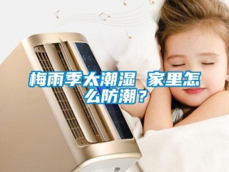 常見問題梅雨季太潮濕 家里怎么防潮？