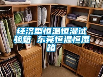 知識百科經濟型恒溫恒濕試驗箱 東莞恒溫恒濕箱