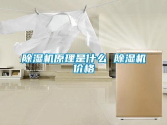 企業新聞除濕機原理是什么 除濕機價格