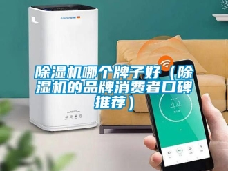 企業新聞除濕機哪個牌子好（除濕機的品牌消費者口碑推薦）