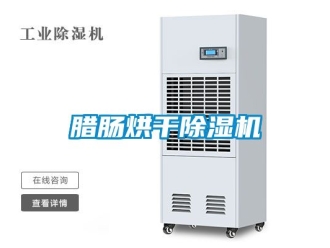 行業新聞臘腸烘干除濕機