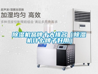企業新聞除濕機品牌十大排名（除濕機什么牌子好用）