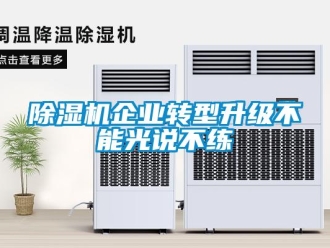 企業(yè)新聞除濕機(jī)企業(yè)轉(zhuǎn)型升級不能光說不練