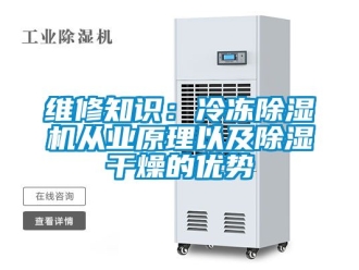 行業新聞維修知識：冷凍除濕機從業原理以及除濕干燥的優勢