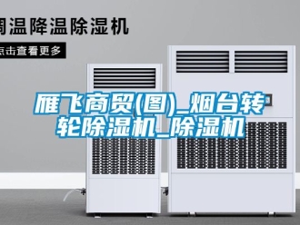 常見問題雁飛商貿(mào)(圖)_煙臺(tái)轉(zhuǎn)輪除濕機(jī)_除濕機(jī)