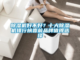 企業新聞除濕機好不好？十大除濕機排行榜靠前品牌值得選擇
